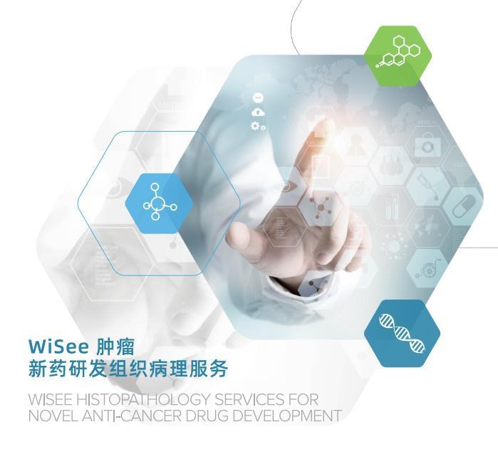 肿瘤新药研发组织病理服务